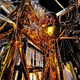 Illustration for article titled The Webb Telescope's "Golden Spider" Is Giant And Gorgeous